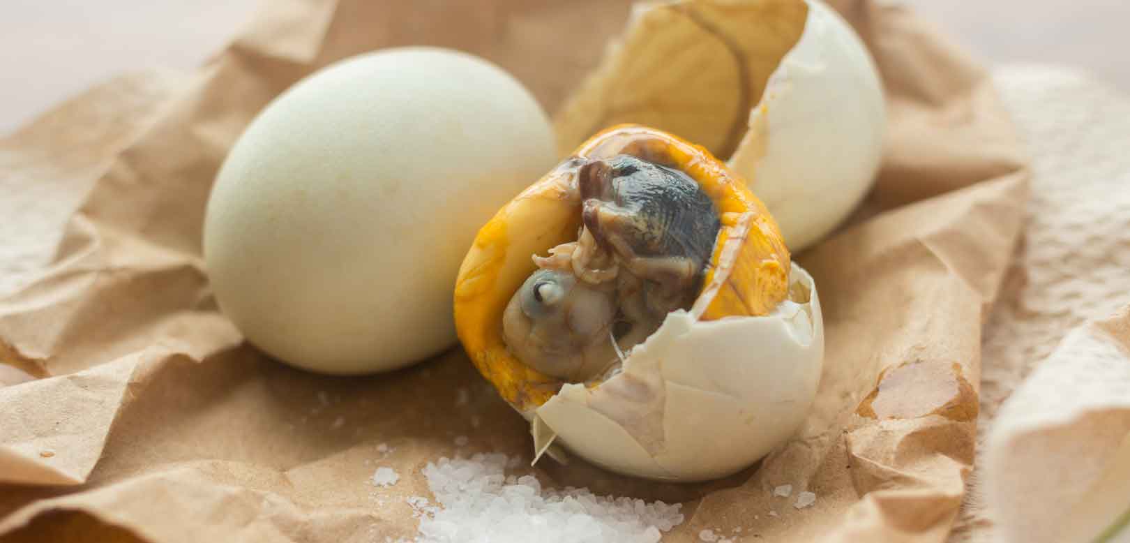 Philippines Food : Balut