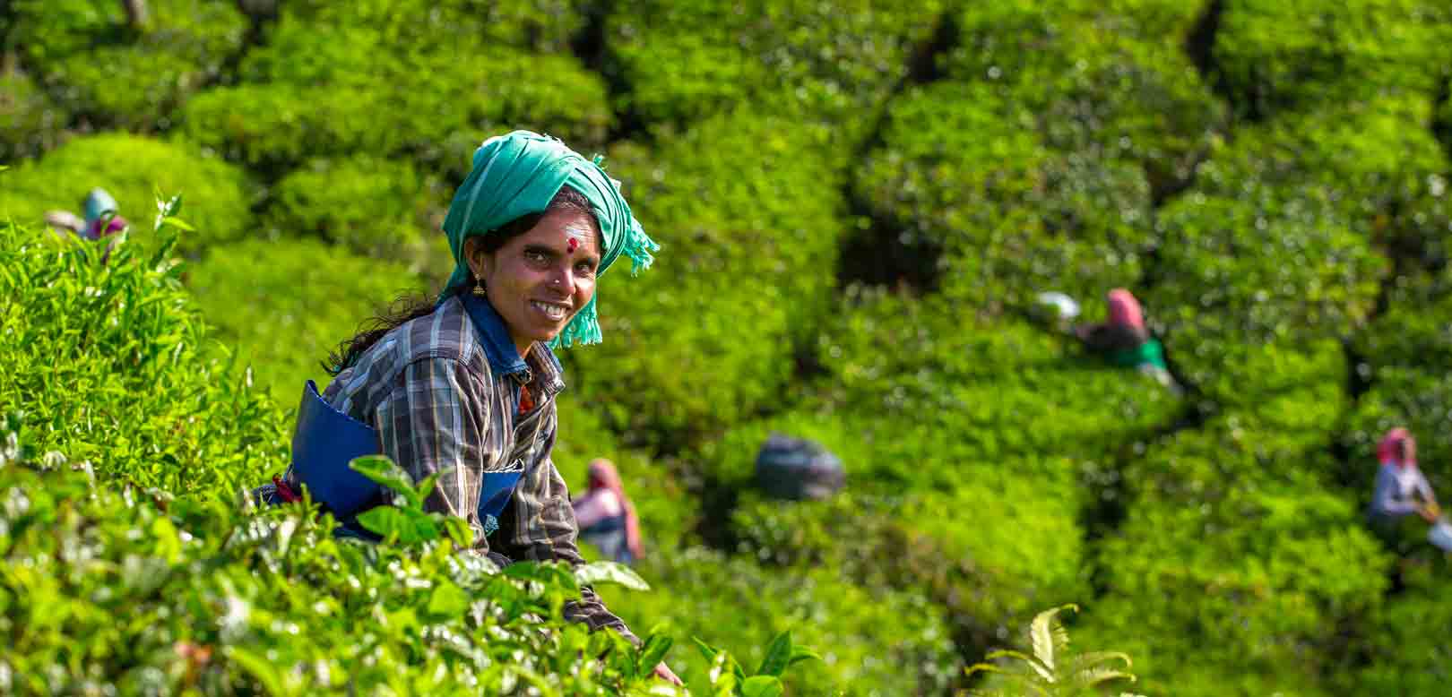 Kerala Locals