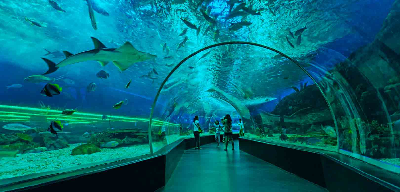 manila ocean park tourist spot