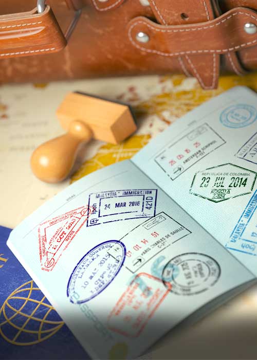 Visa Guides & Immigration