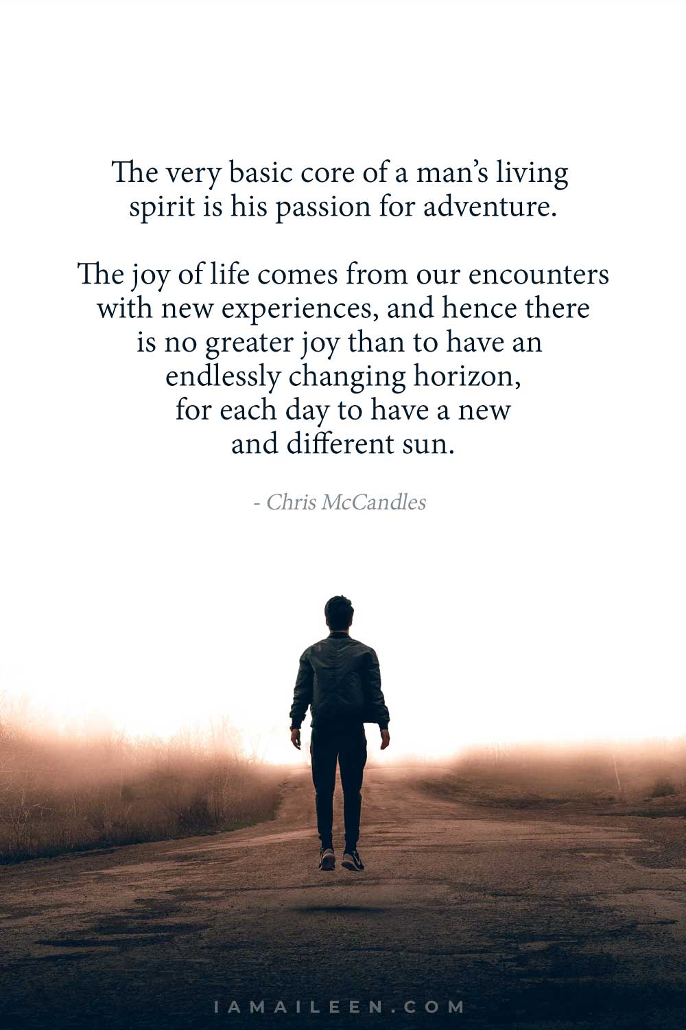 Into the Wild Quote by Chris McCandles