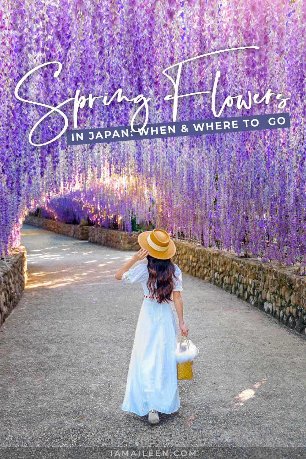 Spring Flowers in Japan