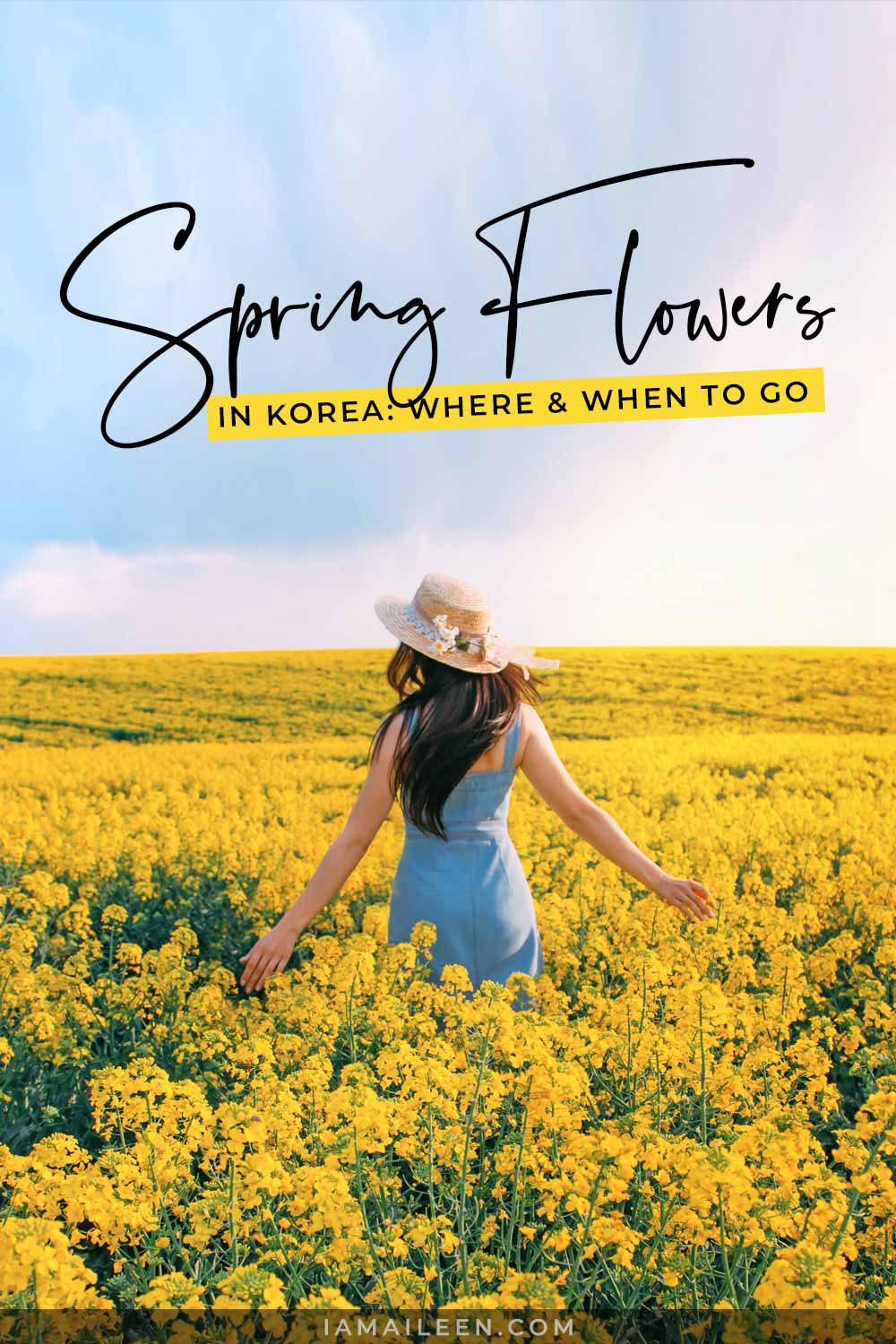 Spring Flowers in Korea