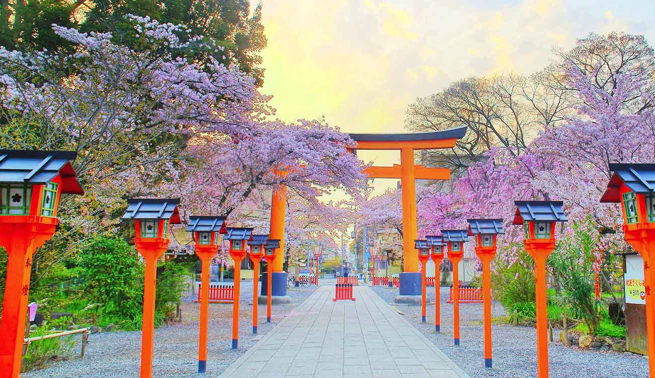 Kyoto Cherry Blossom Viewing Spots