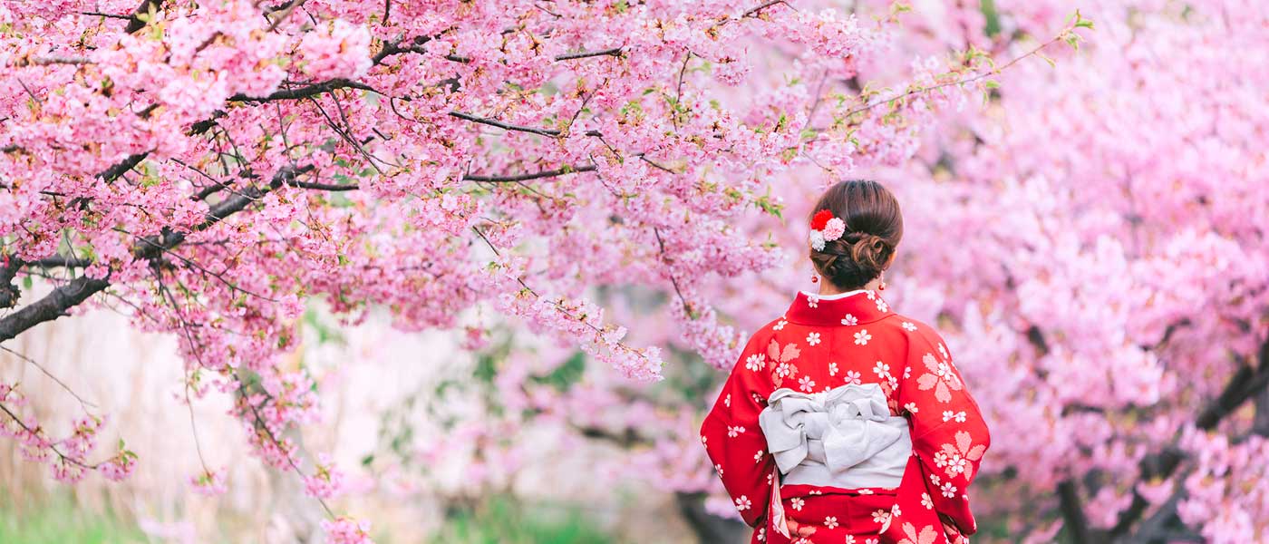 Cherry Blossom Balcony Backdrop