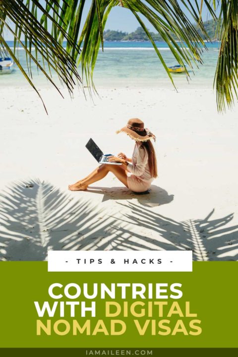 Image showcasing 54 Countries Offering a Digital Nomad Visa (2025 Updated)