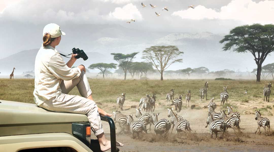 15 Best Tanzania Safaris, Tours, and Packages (Tips & Travel Guide)