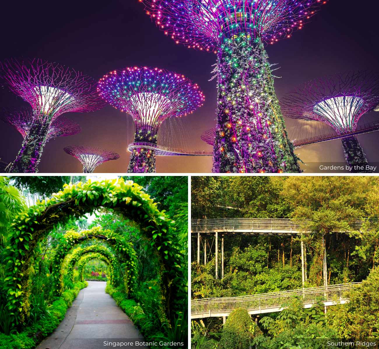 Things to Do in Singapore: Gardens by the Bay