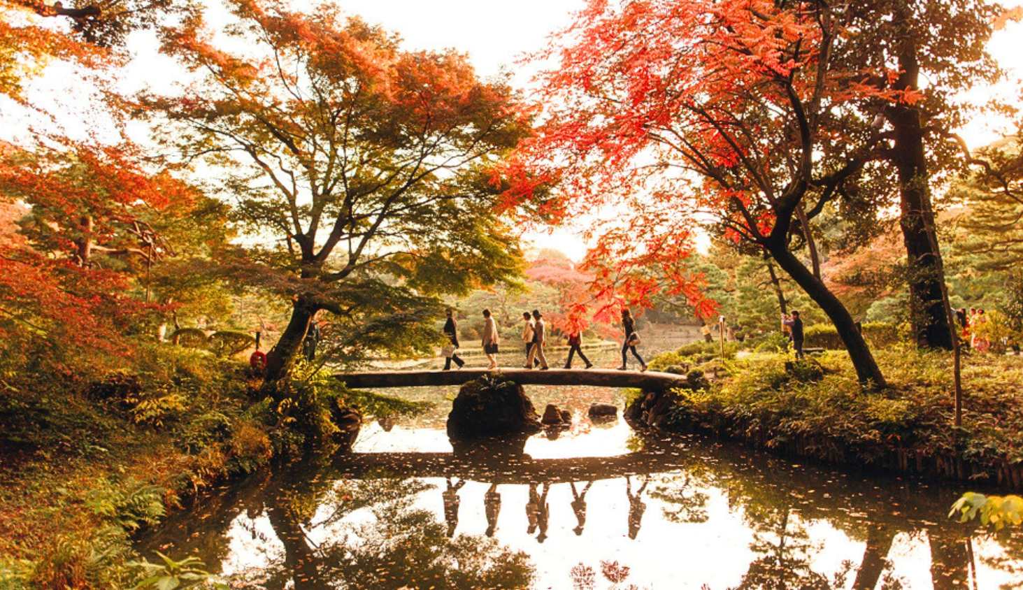 Tokyo Rikugien Garden 