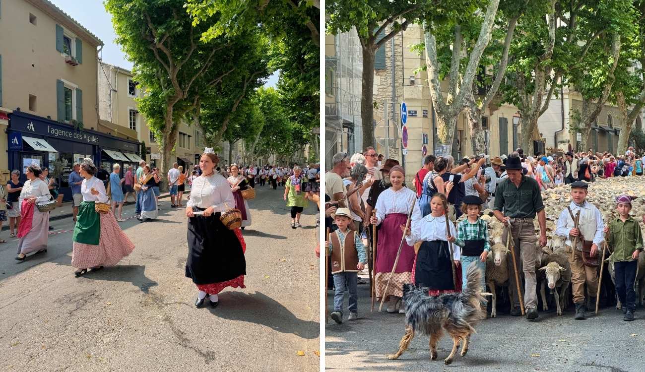 St Remy Traditional Costume Shepherd Flock 