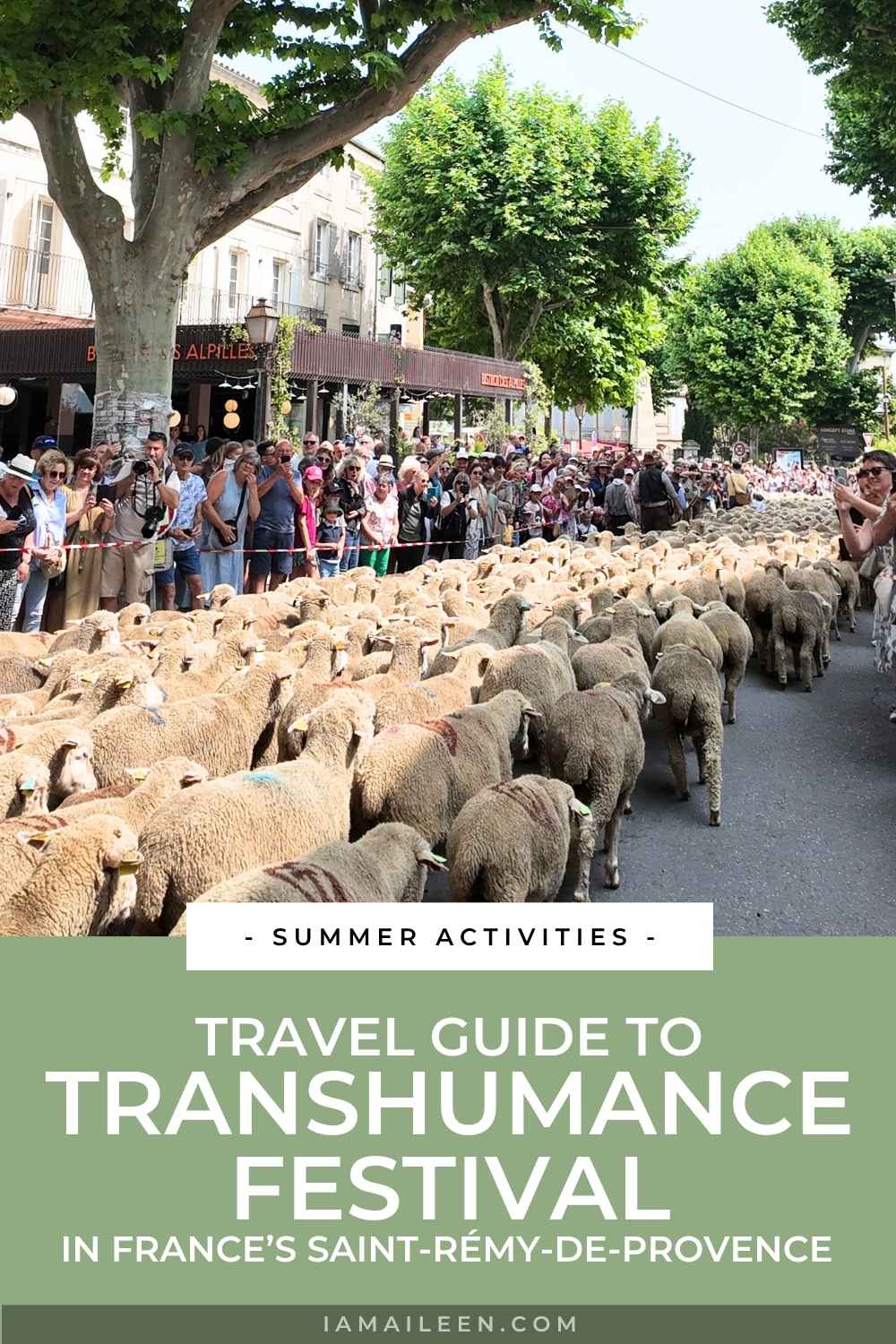 Transhumance Festival in Saint-Rémy-de-Provence: A Travel Guide to France's Famous Sheep Parade